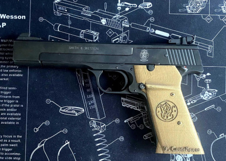 Hola tiradores, pues como no he encontrado ninguna cacha para mi pistola y las que me han propuesto me 01