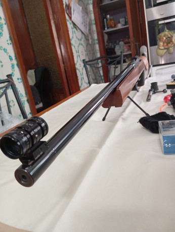  Vendo carabina Anchutz Mach 54 Modelo 1408 Serie X
Cerrojo y Disparador moderno
Tiene una agrupación 10