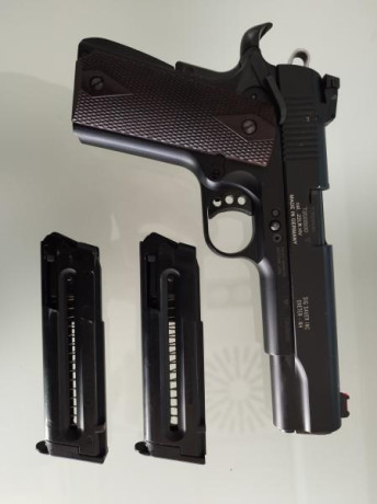 Vendo pistola Sig Sauer 1911 calibre .22lr guiada en licencia F
Incluye 2 cargadores, maletín original

El 01