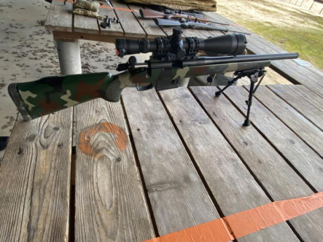 Hola a todos.
Este año he adquirido una carabina del 22lr a un forero. Venía tal cual y ahora quisiera 31