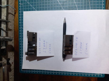 Buenas tardes se vende estas turquesas, 50€ cada una + portes 20250120_135010.jpg  00
