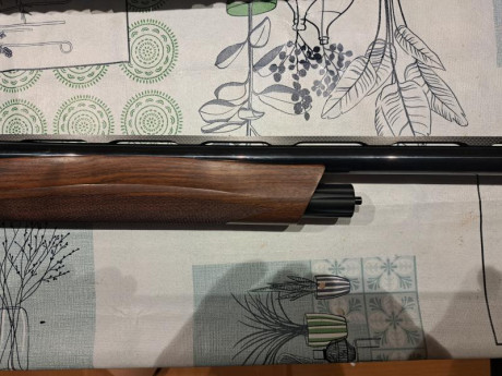 Se vende escopeta Benelli Raffaello Power Bore Crio, calibre 12, cañón de 71cm, maletín original.
5 crio 00