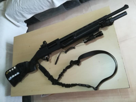 Hola!! Me gustaría hacerme con un escopeta de bombeo, también conocidas de corredera, pero no sé qué modelos 21