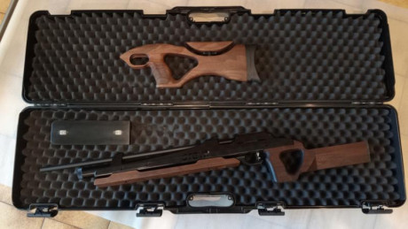 Buenos días
Vendo esta carabina LG110 
Calibre 4,5
Culata y soporte delantero originales + culata para 01
