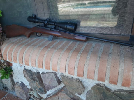 Vendo carabina Savage 64G en calibre 22LR, semiautomática, con visor Bushnell. Lleva años sin utilizarse, 02