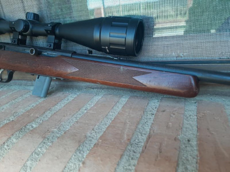 Vendo carabina Savage 64G en calibre 22LR, semiautomática, con visor Bushnell. Lleva años sin utilizarse, 01