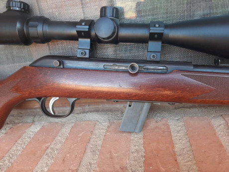 Vendo carabina Savage 64G en calibre 22LR, semiautomática, con visor Bushnell. Lleva años sin utilizarse, 00