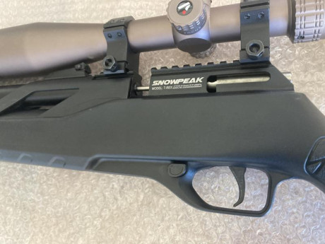 En venta carabina snowpeak T Rex en calibre 4,5mm.
Se vende para hacer caja y gastar en otro proyecto 00