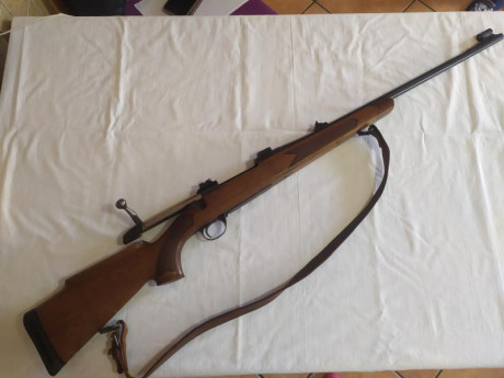 Vendo rifle BSA, de cerrojo, calibre 300, WINCHESTER Magnum, con monturas y visor marca BUSHNELL Scopechef 02