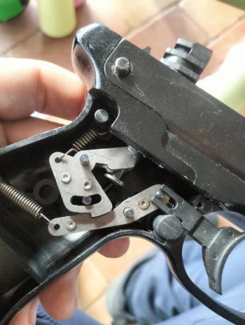Según la web de Gamo, la diferencia entre ambas, es sólo que la AF10 tiene cargador para 10 tiros y la 01
