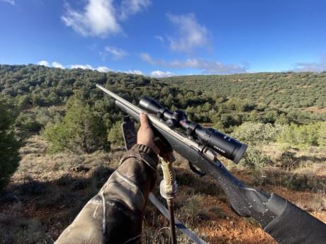 Buenas. Estoy buscando un rifle para rececho y espera  que sea ligero. He visto el Bergara extreme hunter, 70