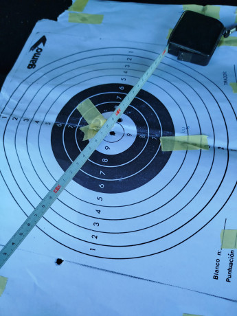 ¿Nos animamos a mostrar blancos de nuestros rifles de caza habituales? Con la munición que habitualmente 110
