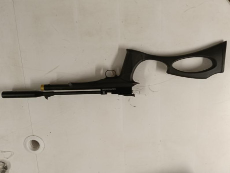 Vendo casi sin estrenar pistola Zasdar PCP modelo PP800.

Incluye silenciador de origen y, dado que la 01