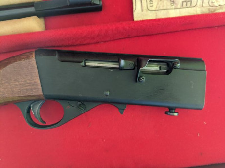 Buenos, por falta de uso vendo carabina Anschutz semiautomática.
Muy poco uso, precisión sorprendente 01