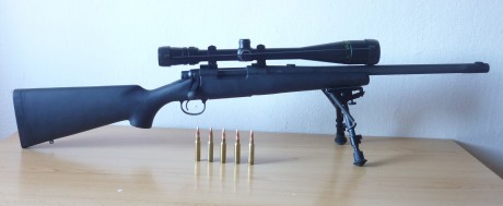 abro este tema para que mostremos nuestro remington 700.podeis poner foto,comentarios,fotos de agrupaciones...etc.para 90