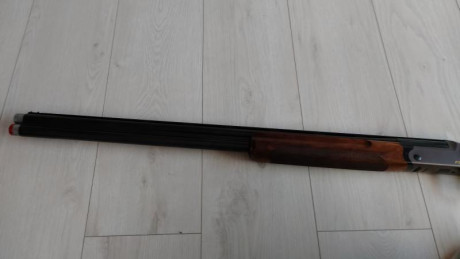  20210309_183257.jpg Buenos días a todos, pongo en venta mi escopeta es una Blaser F3 Competición en excelente 00