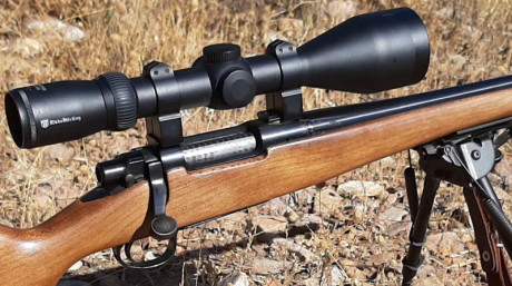 Nikko Stirling Diamond 3-12x56 en excelente estado de uso, montado en un 243 Winchester.

Anillas a elegir 01