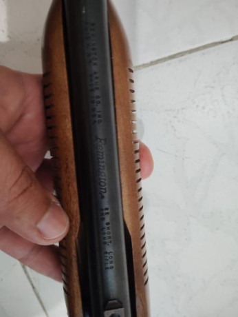 Vendo carabina de repetición (pajillera), Remington Modelo 572 Fieldmaster, por no usar, ya que tengo 21