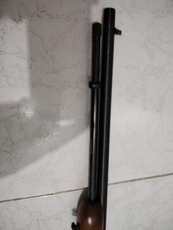 Vendo carabina de repetición (pajillera), Remington Modelo 572 Fieldmaster, por no usar, ya que tengo 20