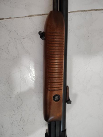 Vendo carabina de repetición (pajillera), Remington Modelo 572 Fieldmaster, por no usar, ya que tengo 32