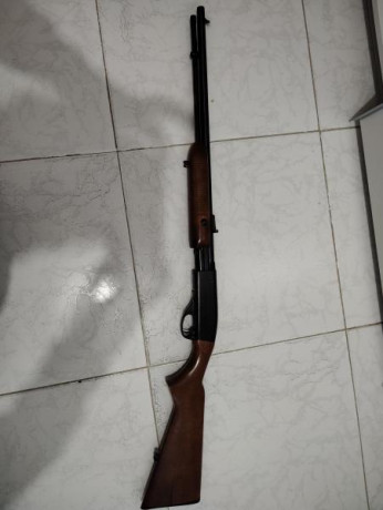 Vendo carabina de repetición (pajillera), Remington Modelo 572 Fieldmaster, por no usar, ya que tengo 30
