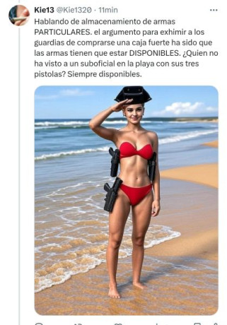 Hola tenía una pregunta, y es que como todos sabéis han prohibido el uso de armas guiadas en D para competiciones. 81