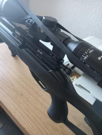 Por cese de actividad vendo carabina PCP GAMO GX40 prácticamente nueva, ha realizado 30 disparos, muy 00