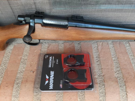 Vendo Remington Seven en calibre 243 winchester en buen estado, con bases y anillas warne de acero y caja 01