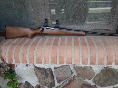 Vendo Remington Seven en calibre 243 winchester en buen estado, con bases y anillas warne de acero y caja 00