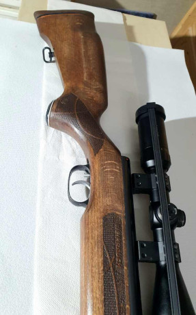 Aquí dejo esta 177 del año 2021. Renovada , precisa y muy llevadera.  Un rifle con premio Hard oro. Ahora 02