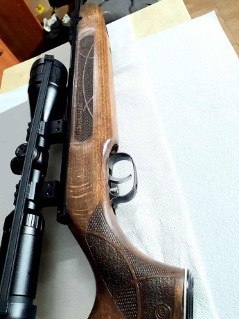 Aquí dejo esta 177 del año 2021. Renovada , precisa y muy llevadera.  Un rifle con premio Hard oro. Ahora 01