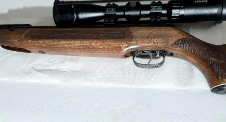 Aquí dejo esta 177 del año 2021. Renovada , precisa y muy llevadera.  Un rifle con premio Hard oro. Ahora 21