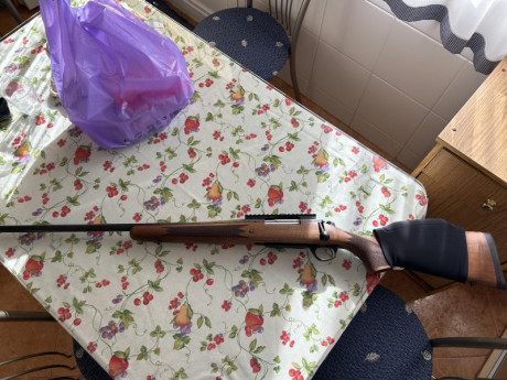 Vendo Bergara b14 timber en zurdo calibre 300wm muy cuidado y sin una mota de óxido y con carril picantiny. 00