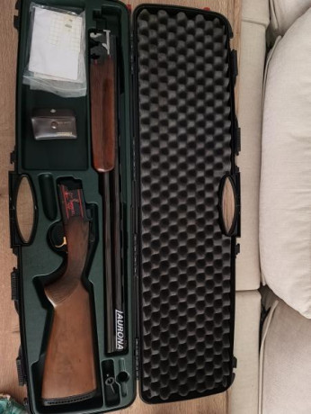 LAURONA 92 IMPECABLE!!
Cañón de 74 cm
1 gatillo
Expulsora
Selectiva
Cañón con polichock
5 boquillas
Incluye 00