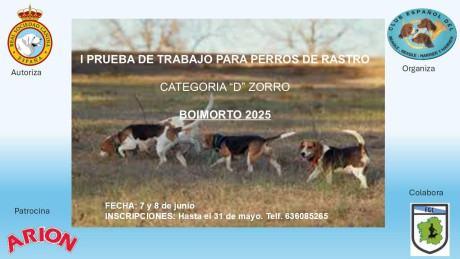 13 de Abril, Ferrol 40