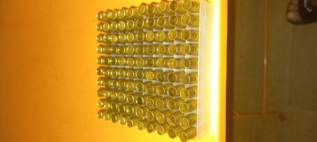 Vainas reconvertidas a 300 blackout de cero disparos. Nunca han sido disparadas. Sin marcajes de calibre. 30