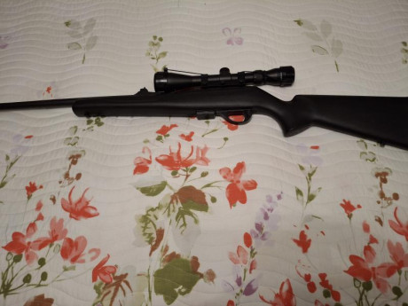 Se vende esta carabina Impecable remington 597 22 mg
450e se envía video y más detalles se entrega el 02