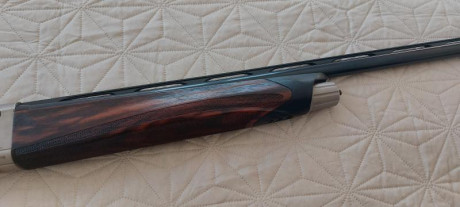 Escopeta semi automática Beretta Upland sin uso apenas, ya no voy a la menor y tengo más en el armero.
Solo 21