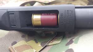 Hola compis.
Quisiera saber si alguien ha transformado o fabricado cartuchos del 12 normales, a mini.
Es 51