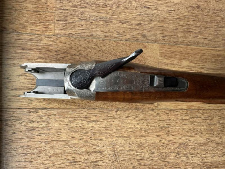 Necesito ayuda con una escopeta 

Está mi primo en trámites de comprar una superpuesta Bettinsoli tarcisio 00