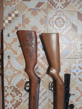 Vendo estas dos carabinas. Una es una Gamo Expo y la otra una Norica modelo 61. Las dos son del 4.5  Evidentemente 01