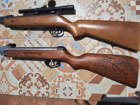 Vendo estas dos carabinas. Una es una Gamo Expo y la otra una Norica modelo 61. Las dos son del 4.5  Evidentemente 00