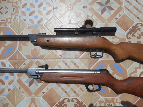 Vendo estas dos carabinas. Una es una Gamo Expo y la otra una Norica modelo 61. Las dos son del 4.5  Evidentemente 12