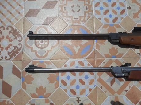 Vendo estas dos carabinas. Una es una Gamo Expo y la otra una Norica modelo 61. Las dos son del 4.5  Evidentemente 11