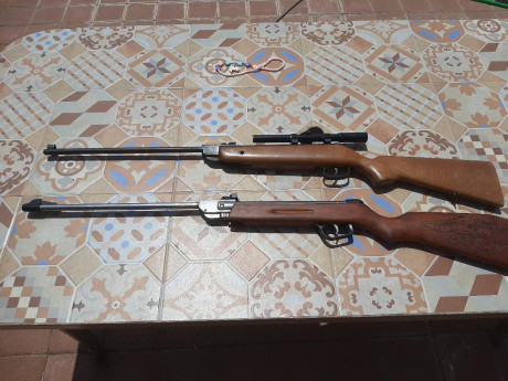 Vendo estas dos carabinas. Una es una Gamo Expo y la otra una Norica modelo 61. Las dos son del 4.5  Evidentemente 21