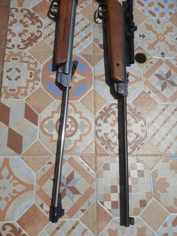 Vendo estas dos carabinas. Una es una Gamo Expo y la otra una Norica modelo 61. Las dos son del 4.5  Evidentemente 20