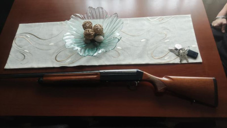 Buenas tardes.

Vendo Benelli SP121 revisada y muy cuidada.

La Escopeta Benelli 121 es un modelo semiautomático 01