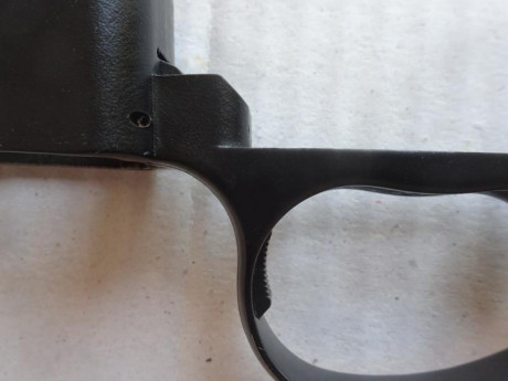 Se vende juego de guardamontes con brocal de cargador y cargadores de la marca H-S PRECISION.

Estuvieron 11