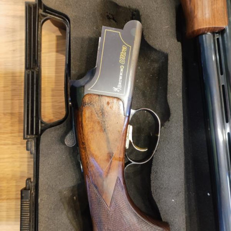 Vendo una browning ultra sporter, 71 de cañón chokes intercambiables gatillo regulable ,maletín y accesorios.
Lleva 02