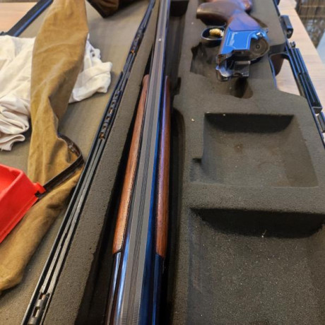 Vendo una browning ultra sporter, 71 de cañón chokes intercambiables gatillo regulable ,maletín y accesorios.
Lleva 01